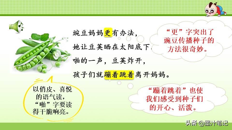 写植物传播种子的方法（植物种子有哪些传播方式）