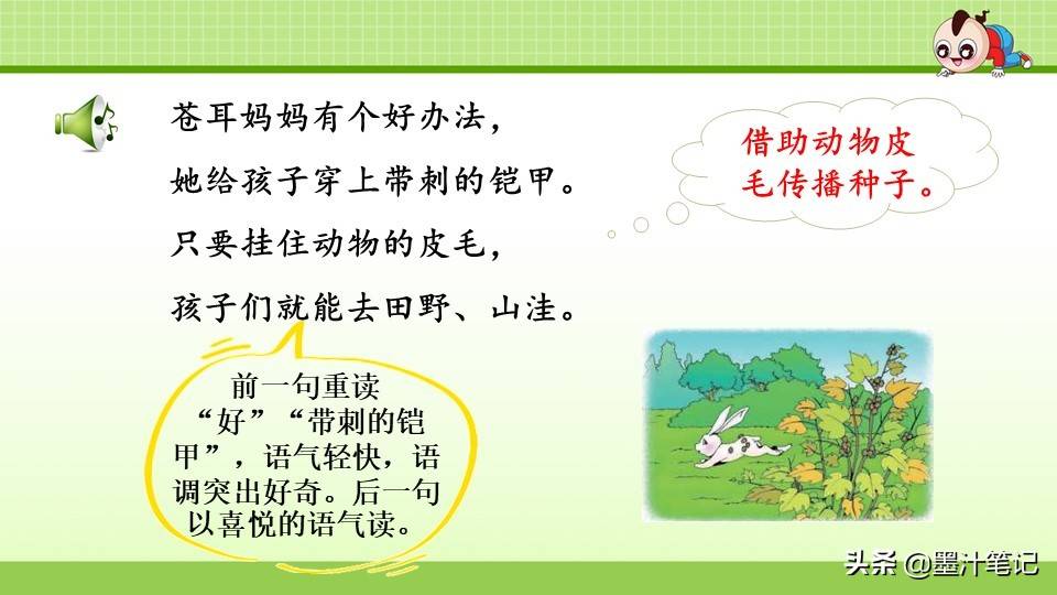 写植物传播种子的方法（植物种子有哪些传播方式）