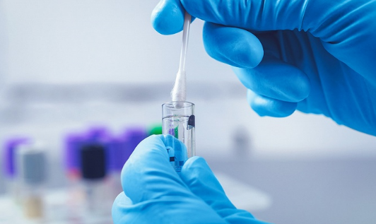 核酸检测除了在公众号还有哪里可以查到