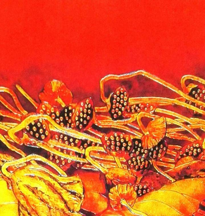 银箔漆(油漆颜色大全色板图片)