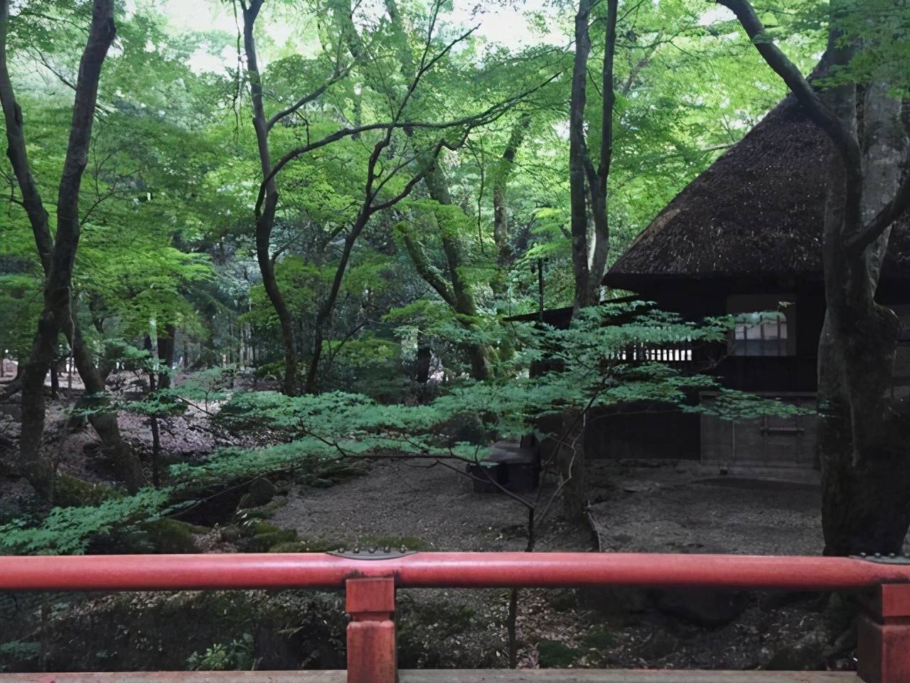 立夏的优美诗词（五首关于立夏的古诗词欣赏）