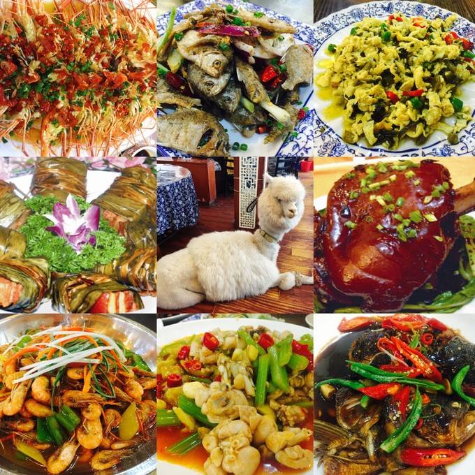 西塘旅游攻略(西塘古镇衣食住行2日游攻略)