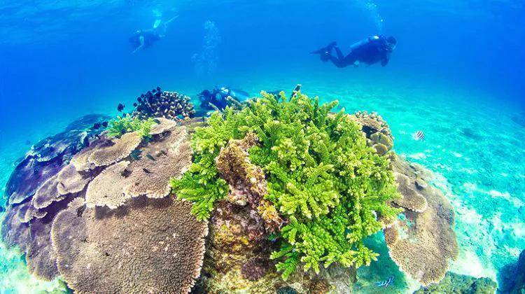 三亚必须去的几个地方(海南三亚必去的10大景点)