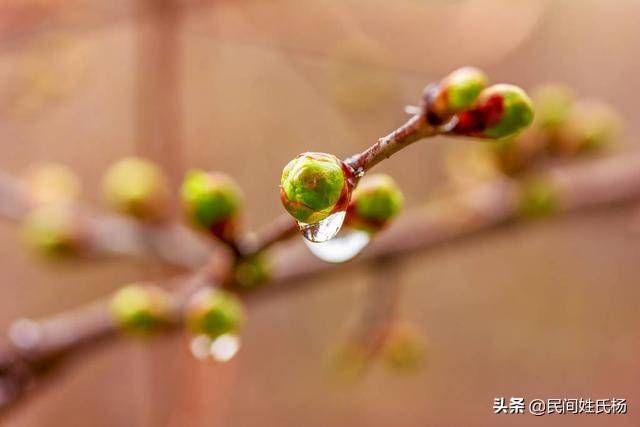 四月杂谈（四月杂谈记）