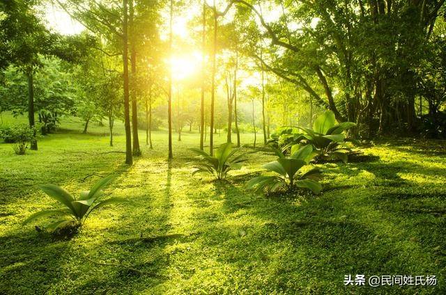 四月杂谈（四月杂谈记）