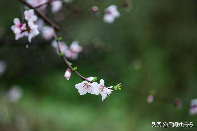 四月杂谈（四月杂谈记）