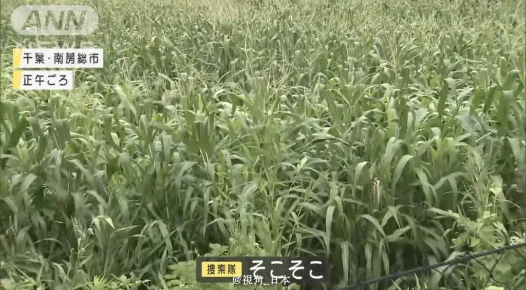 千叶县（日本千叶县房价贵吗）