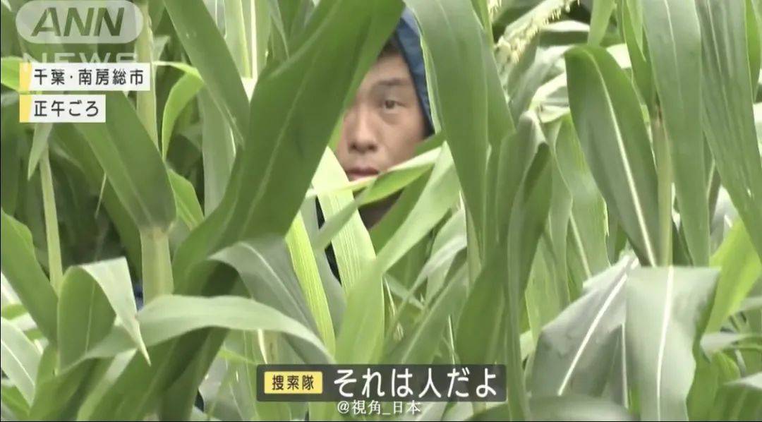 千叶县（日本千叶县房价贵吗）