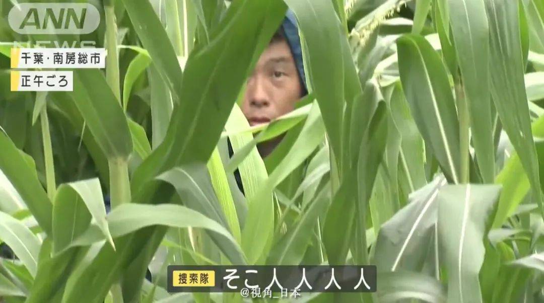 千叶县（日本千叶县房价贵吗）
