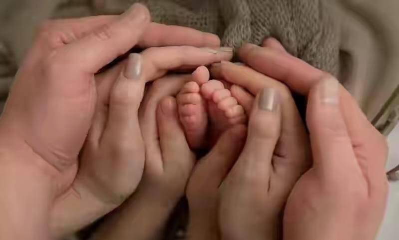 凑合婚姻(凑合过的婚姻到底有多可怕?)