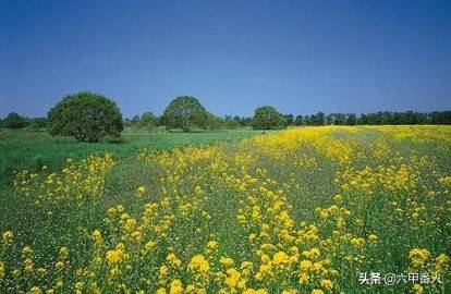 春天的对联(三副原创对联,皆与春天有关)