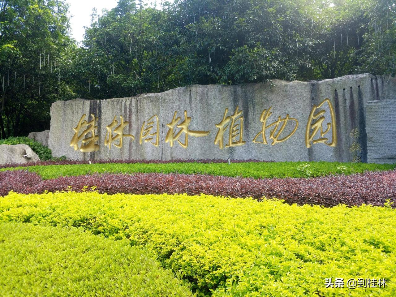 园林植物园(桂林园林植物园,迷失方向)