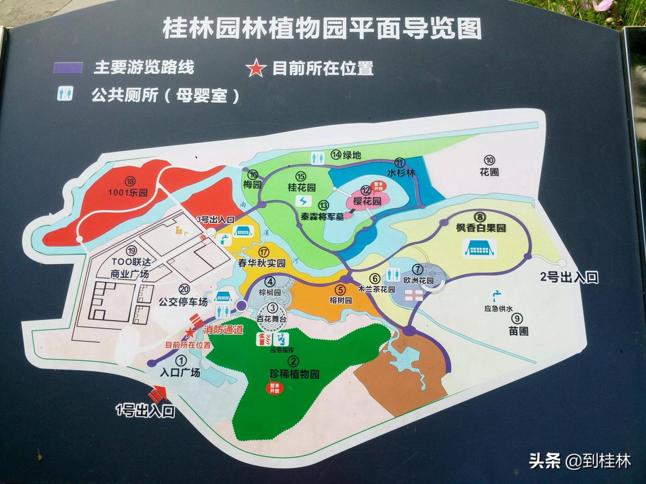 园林植物园(桂林园林植物园,迷失方向)