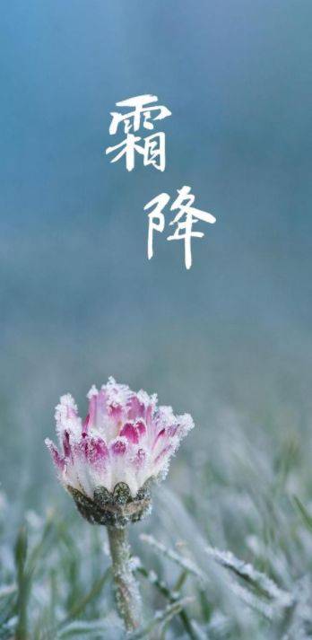 霜降的诗句（十三首霜降诗词）