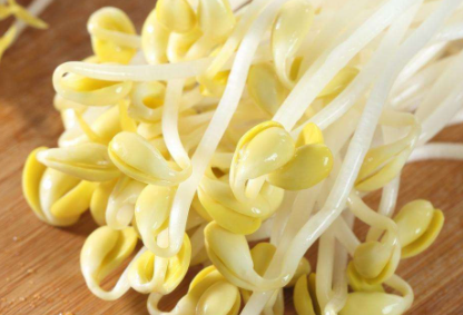 在家用绿豆怎么让它发芽呢