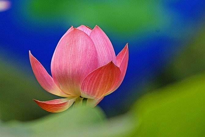 关于珍惜生命的名言!(关于生命的名人名言50句)