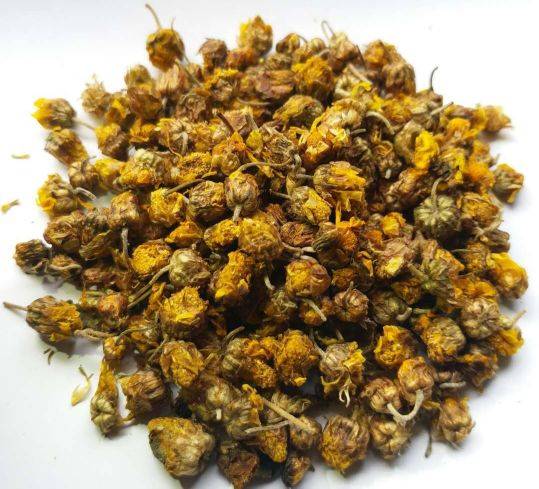 菊花形状(每日中药——野菊花)