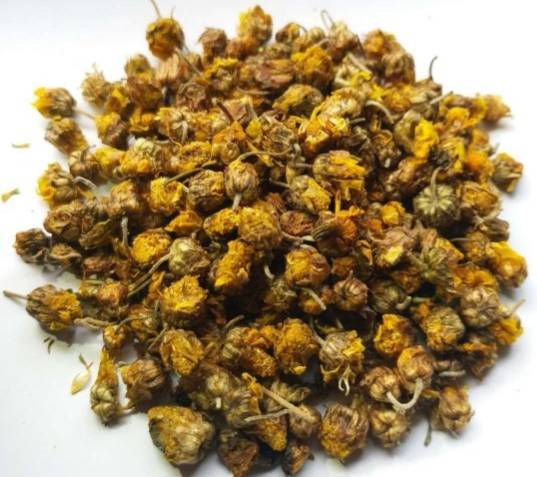 菊花形状(每日中药——野菊花)