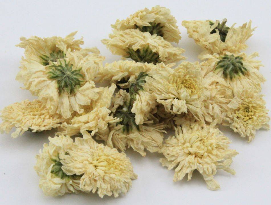 菊花形状(每日中药——野菊花)