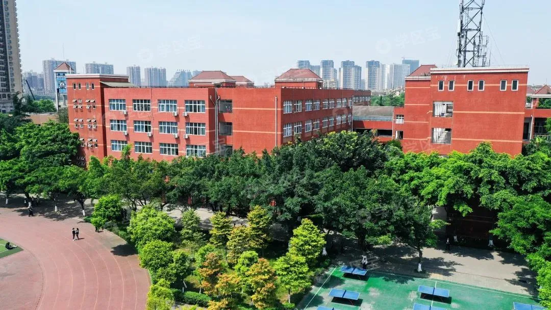 北盟外语(外国语哪家强?)