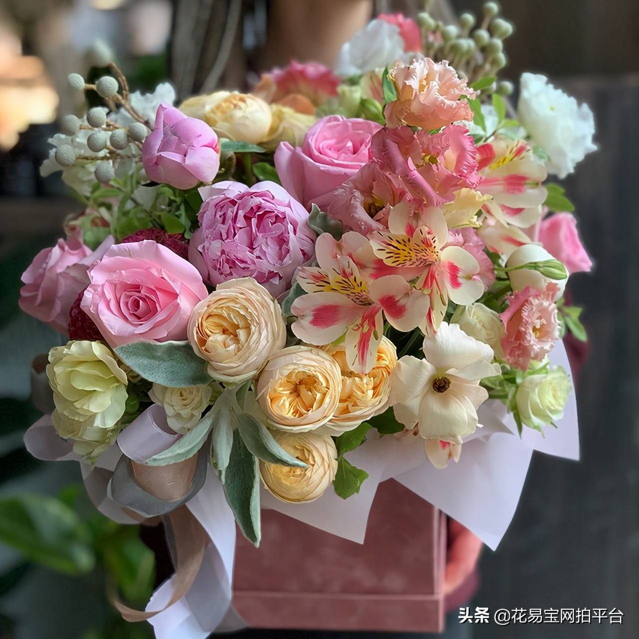 玫瑰花语大全（超全玫瑰花语）