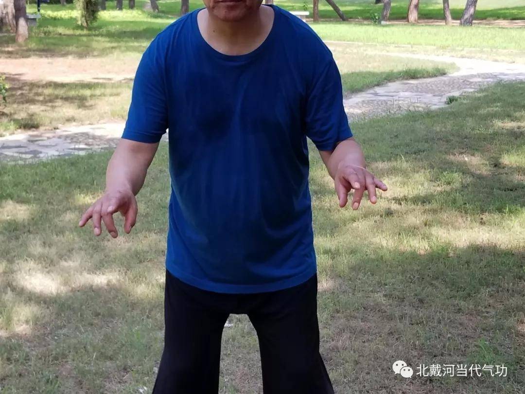 空劲气功(空劲气功精华套路)