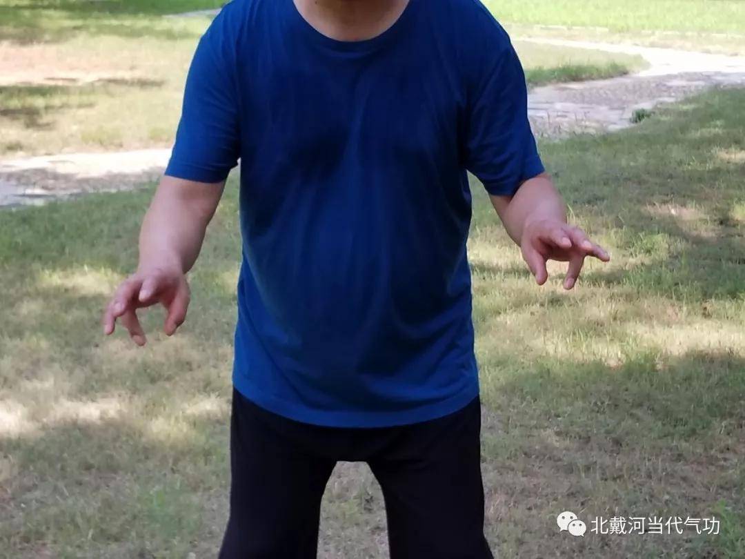 空劲气功(空劲气功精华套路)