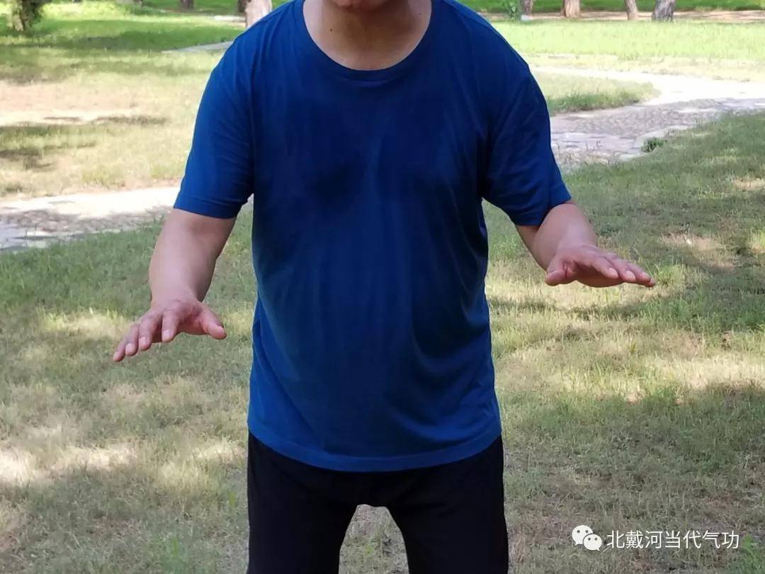 空劲气功(空劲气功精华套路)