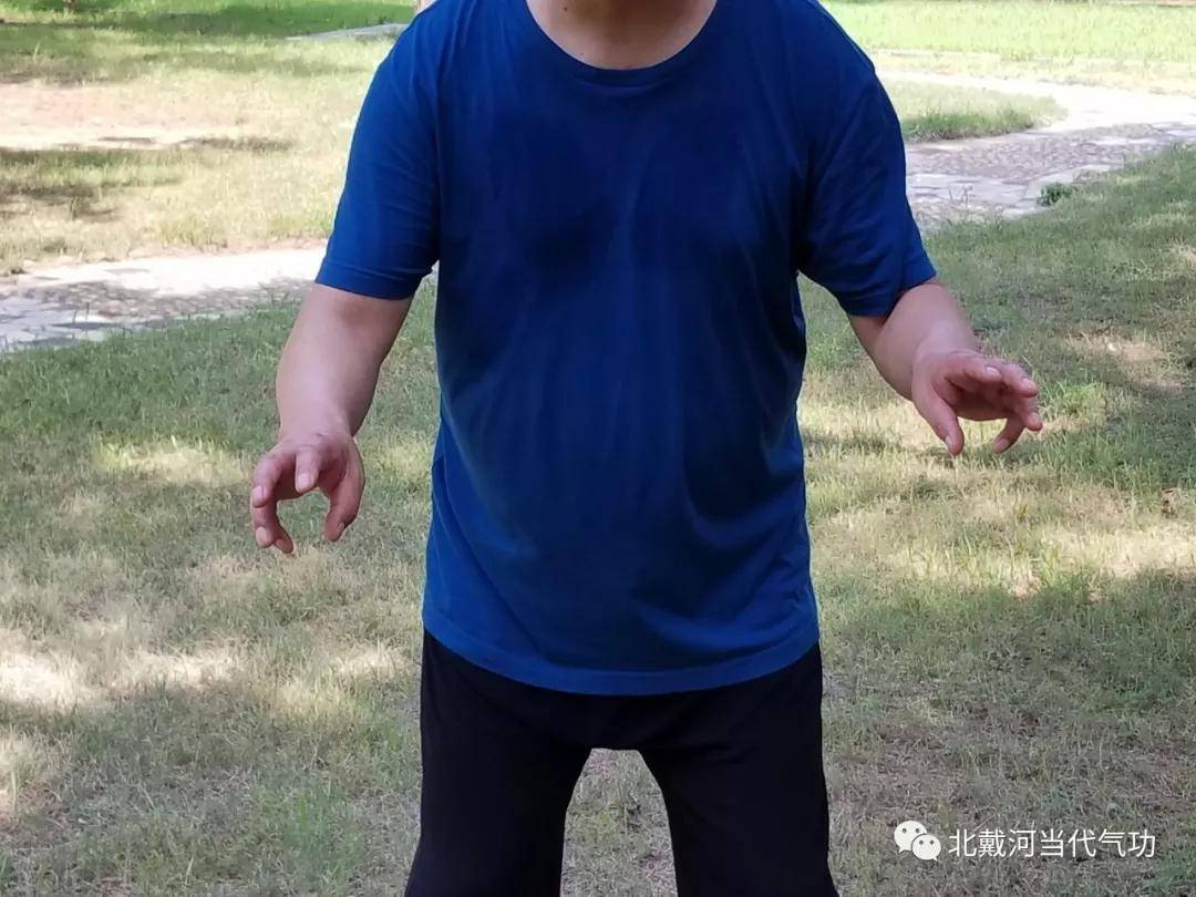 空劲气功(空劲气功精华套路)