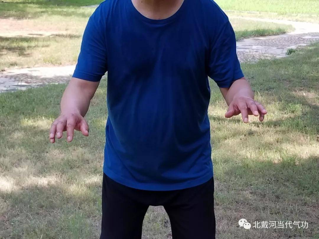 空劲气功(空劲气功精华套路)