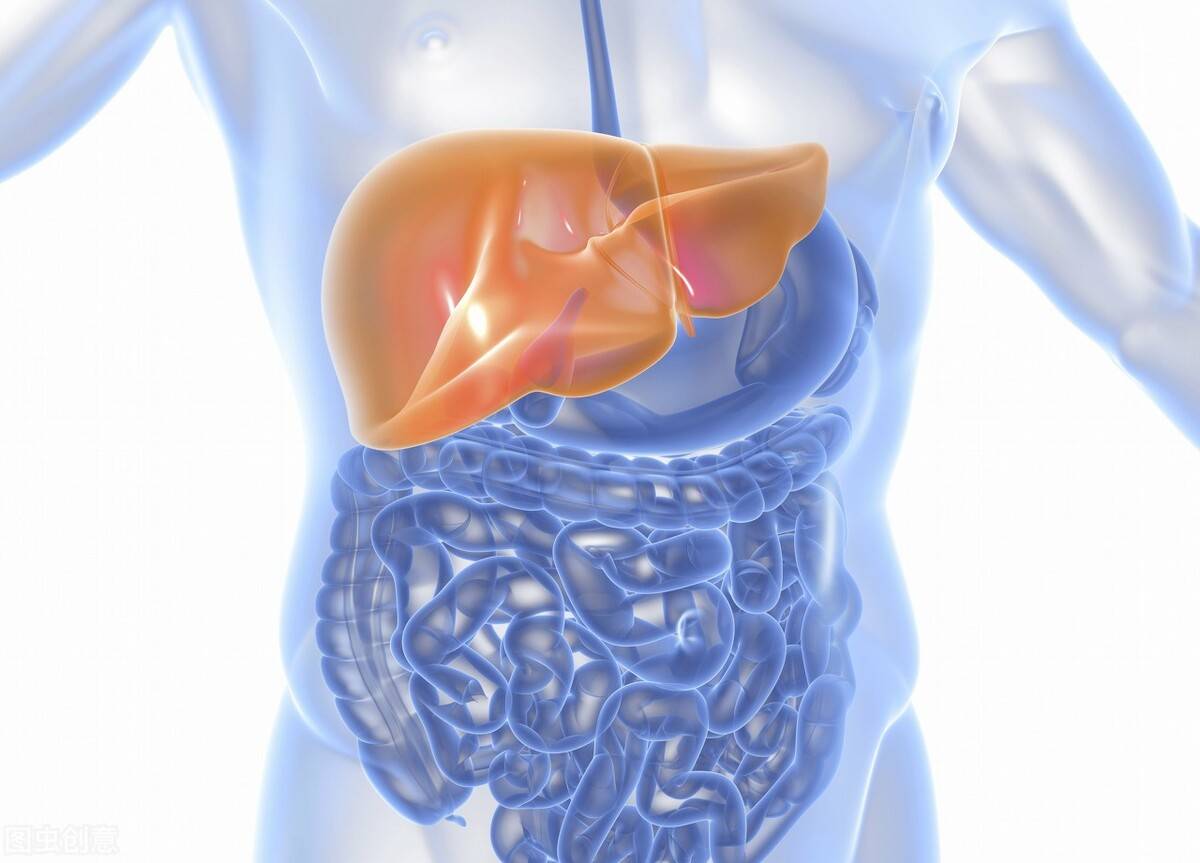 肝脏排毒(做好这四件事帮助肝脏排毒)