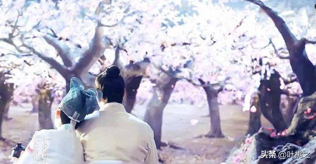 墨渊和夜华(墨渊和夜华的区别在哪)