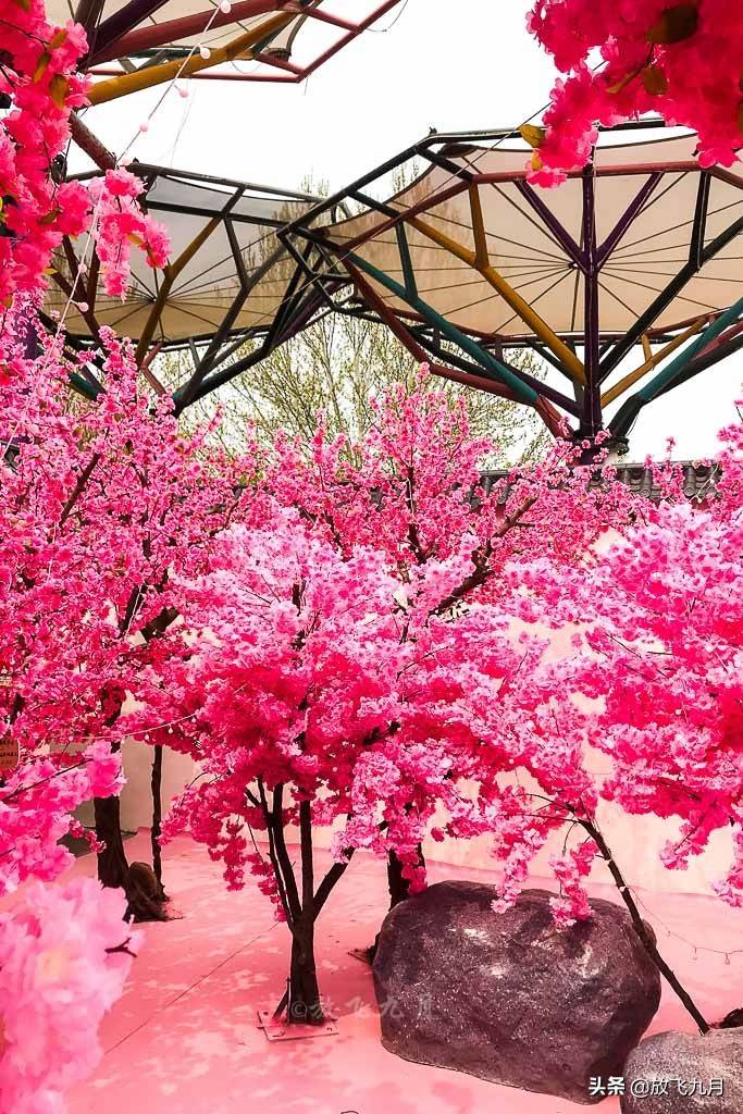 欢乐谷攻略(北京欢乐谷一日游攻略)