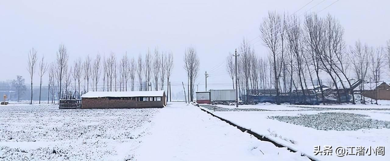 香油是什么(香油治疗红屁股吗)