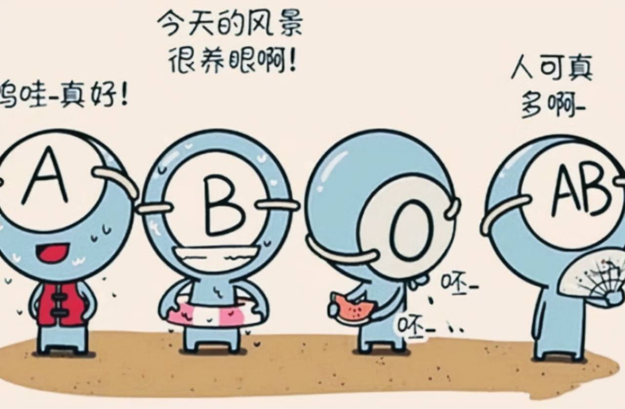 a型血的性格(a型血的人是什么性格ol)