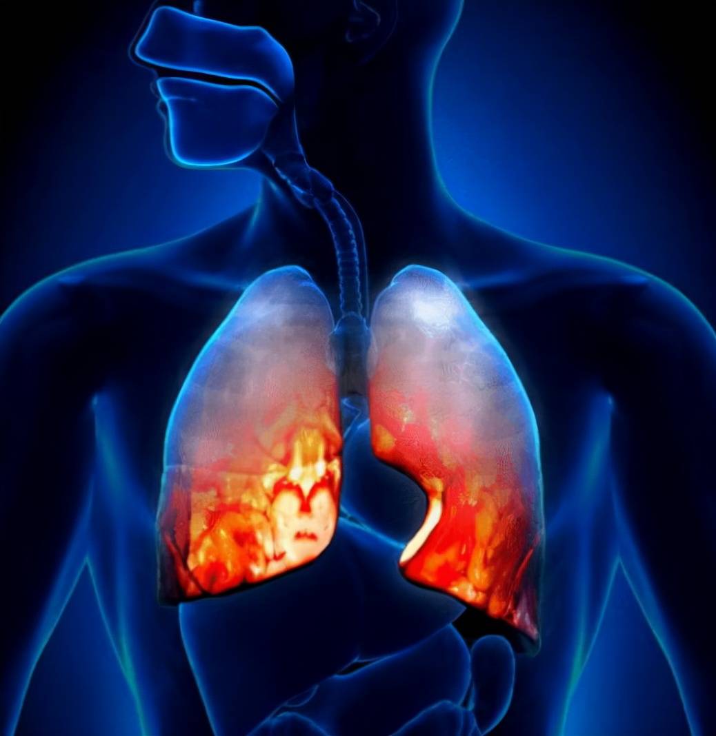 a型血的性格(a型血的人是什么性格ol)