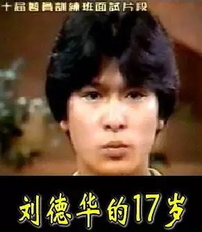 别说爱情苦（别说爱情苦歌词）