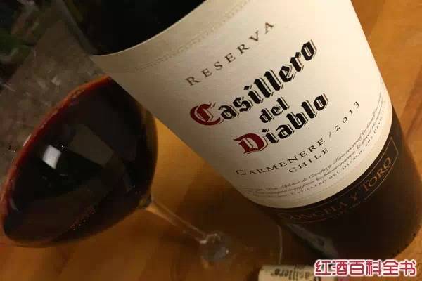 智利葡萄酒（带你全面认识智利红葡萄酒）