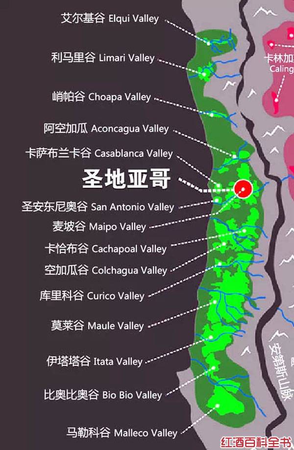 智利葡萄酒（带你全面认识智利红葡萄酒）