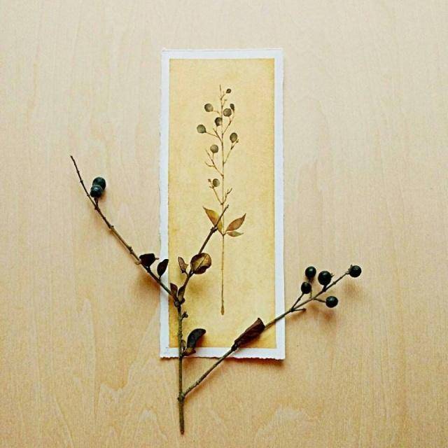 人生的感悟(人生感悟经典语录)