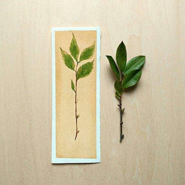 人生的感悟(人生感悟经典语录)