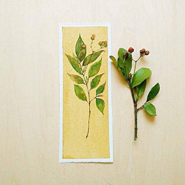 人生的感悟(人生感悟经典语录)