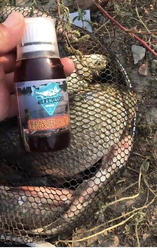 钓鲫鱼饵料配方(野钓鲫鱼最好的饵料配方来了!)