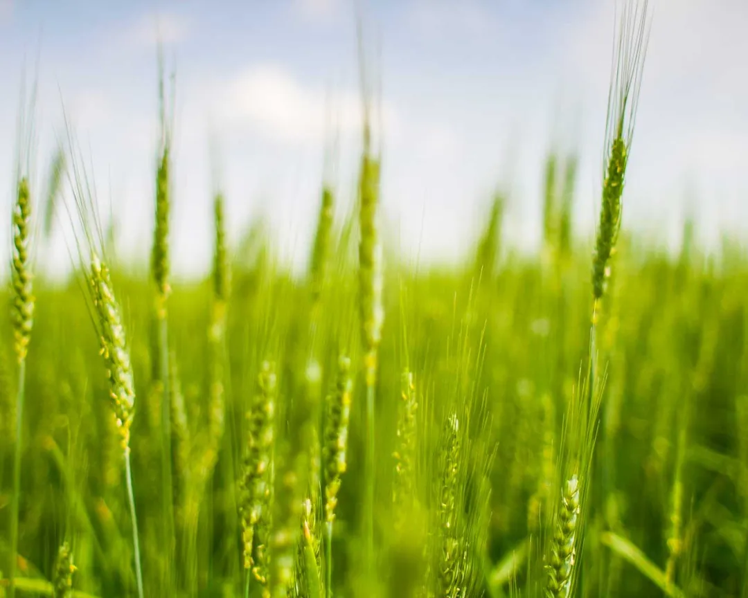 国内旅游线路(8个国内小众旅行地)