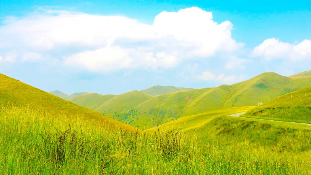 国内旅游线路(8个国内小众旅行地)