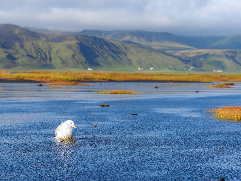 汛期应急预案(2021年防汛工作应急预案)
