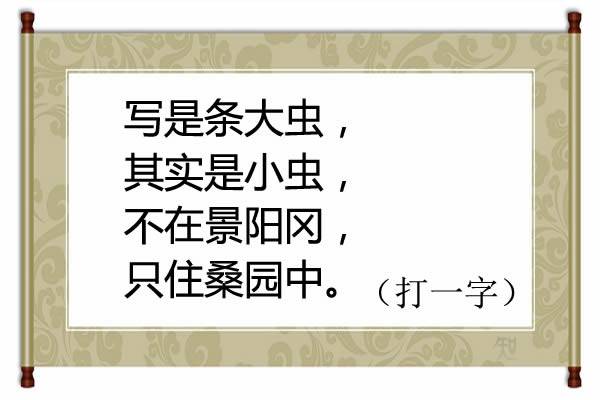 加一半减一半(软一半硬一半打一字谜答案)