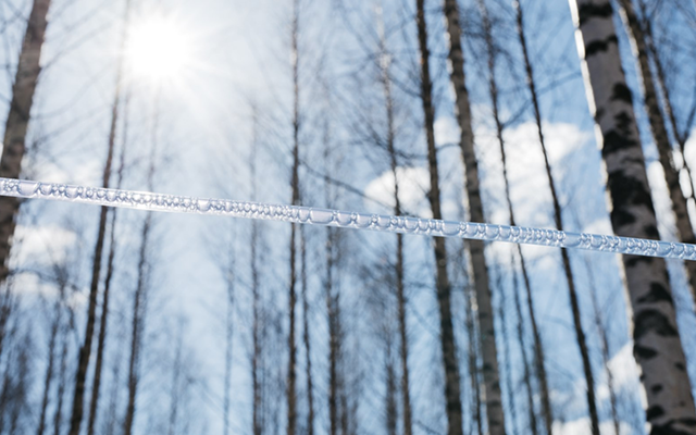 养生堂博客(养生堂的“变”与“不变)