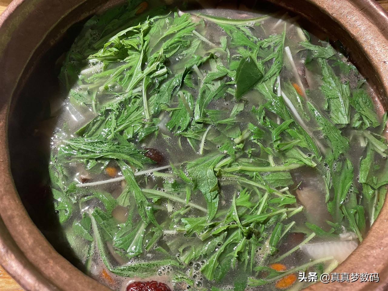 自驾游去西藏(2021西藏自驾游)