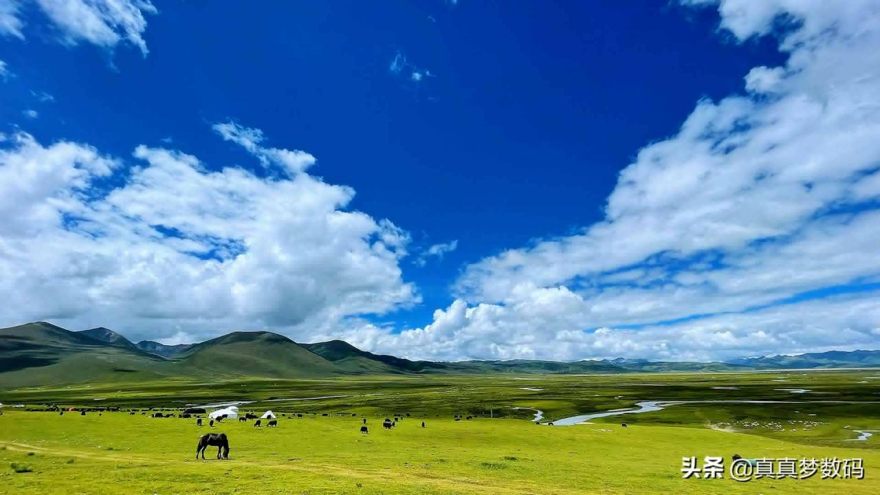 自驾游去西藏(2021西藏自驾游)